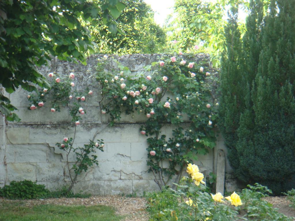 Villa Chanelle Les Rosiers Eksteriør billede